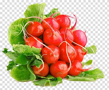Green Legume Radish Vegetable , Bunch carrot leaf vegetables transparent background PNG clipart