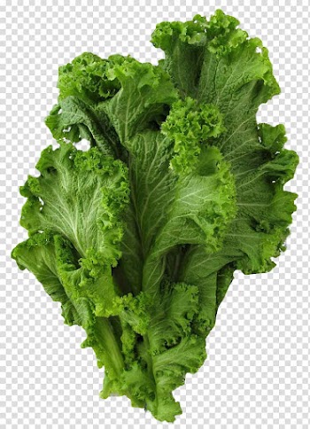 Green lettuce, Brassica juncea Vegetable Mustard Collard greens, Mustard Greens transparent background PNG clipart