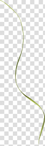 Green line illustration transparent background PNG clipart