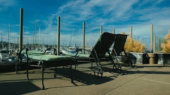 Green Loungers
