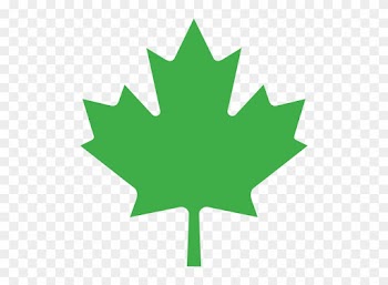 Green Maple Leaf - Leaf On The Canadian Flag