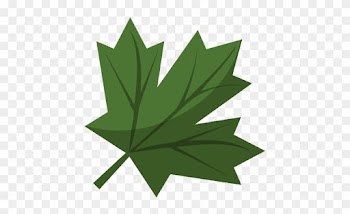 Green Maple Leaf Png - Canada Flag