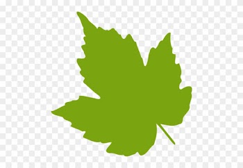 Green Maple Leaf Vector Image Public Domain Vectors - Grape Leaf Clip Art