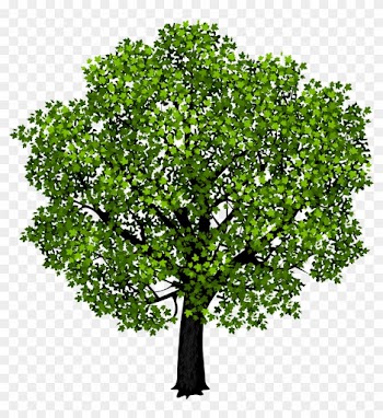Green Maple Tree Png Clipart Picture - Yellow Tree Cutout