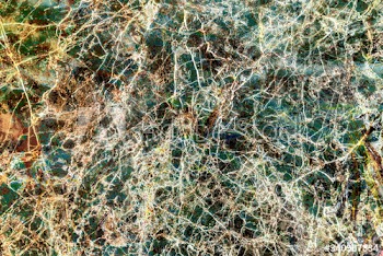 Green marble textured background