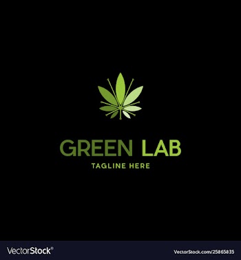 Green marijuana science lab logo design vector image