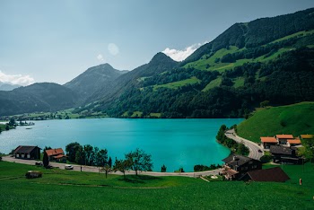 Green Meadow, Blue Lake, Forest &amp; Mountains