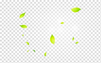 Green mint leaf illustration, Line Point Angle Green Pattern, Leaves leaves sunlight effect transparent background PNG clipart
