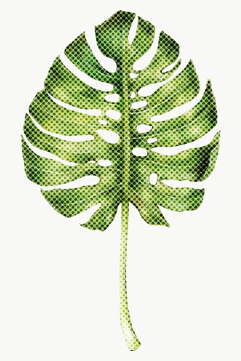 Green monstera leaf halftone style design element | Free  transparent png - 2338054