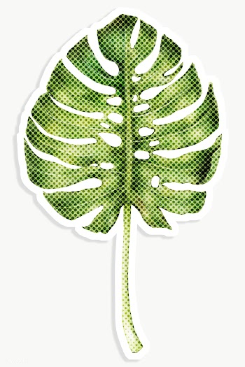 Green monstera leaf halftone style design element sticker | Free  transparent png - 2338056