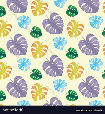 Green monstera leaves vector image