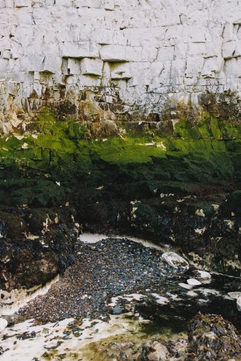 Green Moss on Gray Rock · Free Stock Photo