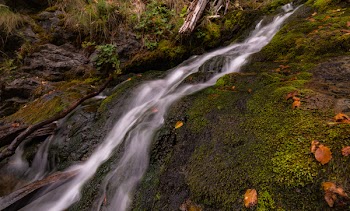 Green Mossy Rock Near on Waterfalls