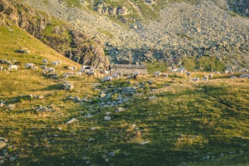 Green Mountain