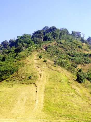 Green Mountain