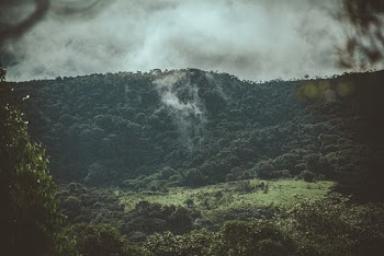 Green Mountain