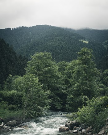 Green Mountain