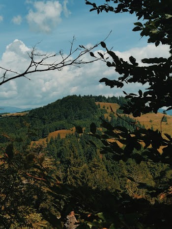 Green Mountain Under Blue Sky