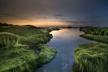 Green Moutnain and Lake Scenery
