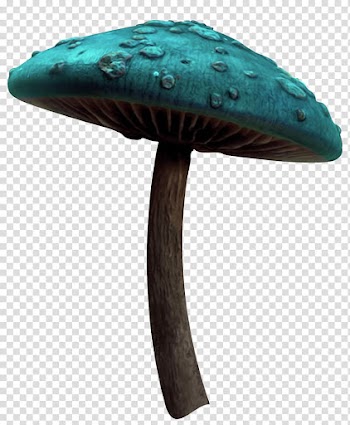 Green mushroom illustration, Mushroom, Mushroom fairy tale transparent background PNG clipart