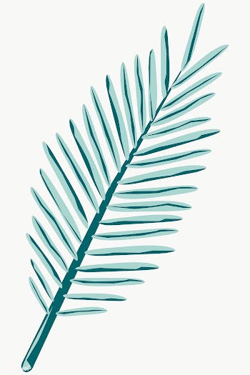 Green needle leaf element transparent png | Free  transparent png - 2253543