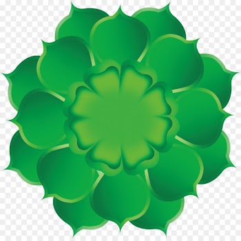 Green Nelumbo nucifera Download - Green Flowers 