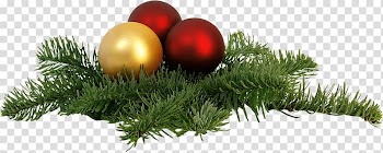 Green Norfolk Island pine with red and gold baubles Christmas decor, Christmas Table Decoration transparent background PNG clipart