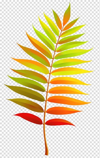 Green, orange, and red leaf illustration, Leaf , Colorful Fall Leaf transparent background PNG clipart