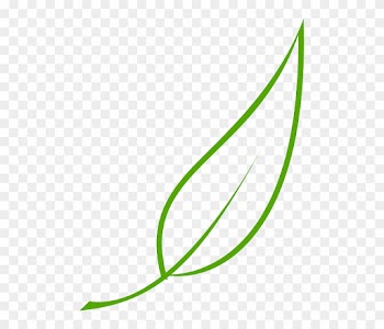 Green, Outline, Drawing, Leaf, Cartoon, Free, Color - Leaf Clipart Vector