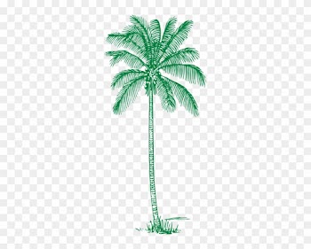 Green Palm Tree Clip Art At Clker - Green Palm Tree Clipart