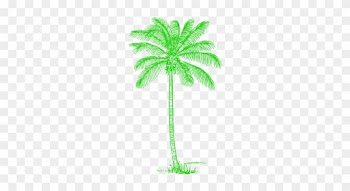 Green Palm Tree Image - Free Palm Tree Drawing