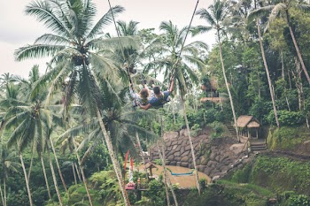 Green Palm Trees