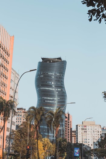 Green Palm Trees Near Buildings