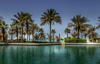 Green Palm Trees Under Clear Blue Sky
