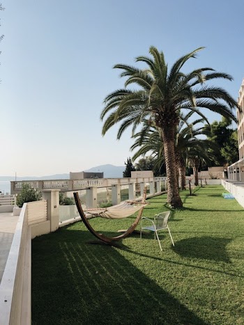Green Palm Tress and Brown Hammock
