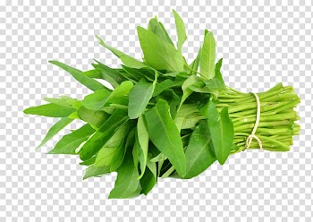 Green papaya salad Saag Water spinach Leaf vegetable, vegetable transparent background PNG clipart