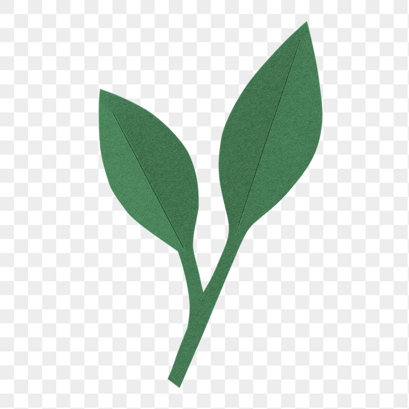 Green paper leaf png sticker, | Free PNG - rawpixel