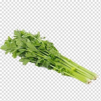 Green parsley vegetables, Cauliflower Romanesco broccoli Red cabbage, A celery physical map transparent background PNG clipart