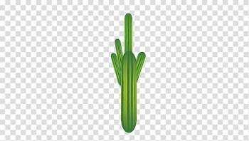 Green Pattern, cactus transparent background PNG clipart