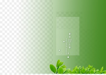 Green Pattern - Wedding photo album background 