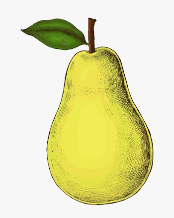 Green pear illustration | Free stock illustration - 1209000