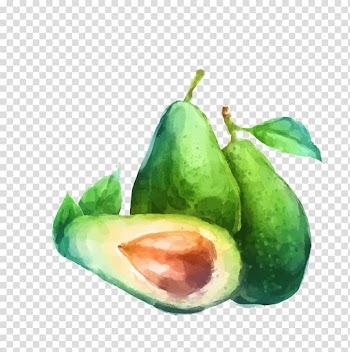 Green pears painting, Watercolor painting Fruit Drawing Illustration, Hand-painted avocado transparent background PNG clipart
