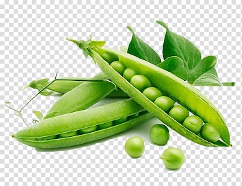 Green peas , Snow pea Organic food Vegetable Legume, vegetables transparent background PNG clipart
