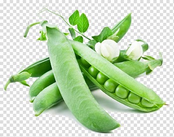 Green peas, Snow pea Vegetable Snap pea Seed Pea protein, pea transparent background PNG clipart