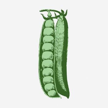 Green peas, vegetable illustration. Free | Free Photo - rawpixel