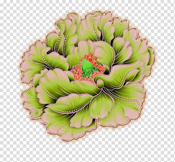 Green peony flower illustration, Luoyang Moutan peony, peony transparent background PNG clipart