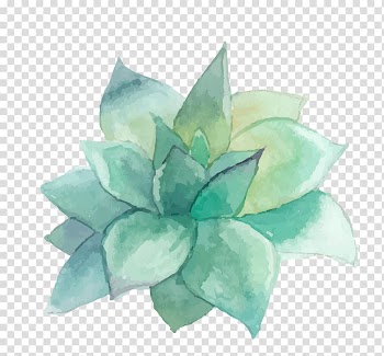 Green petaled flower illustration, Succulent plant Watercolor painting Art Wall decal, WATERCOLOR LEAF transparent background PNG clipart