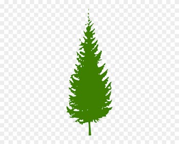 Green Pine Tree Clip Art - Redwood Tree Clip Art