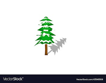 green pine tree covered with snow