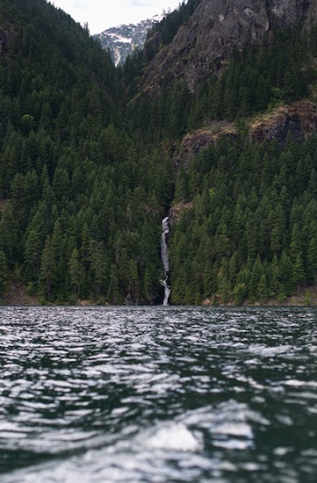 Green Pine Trees on Mountain Beside the Body of Water